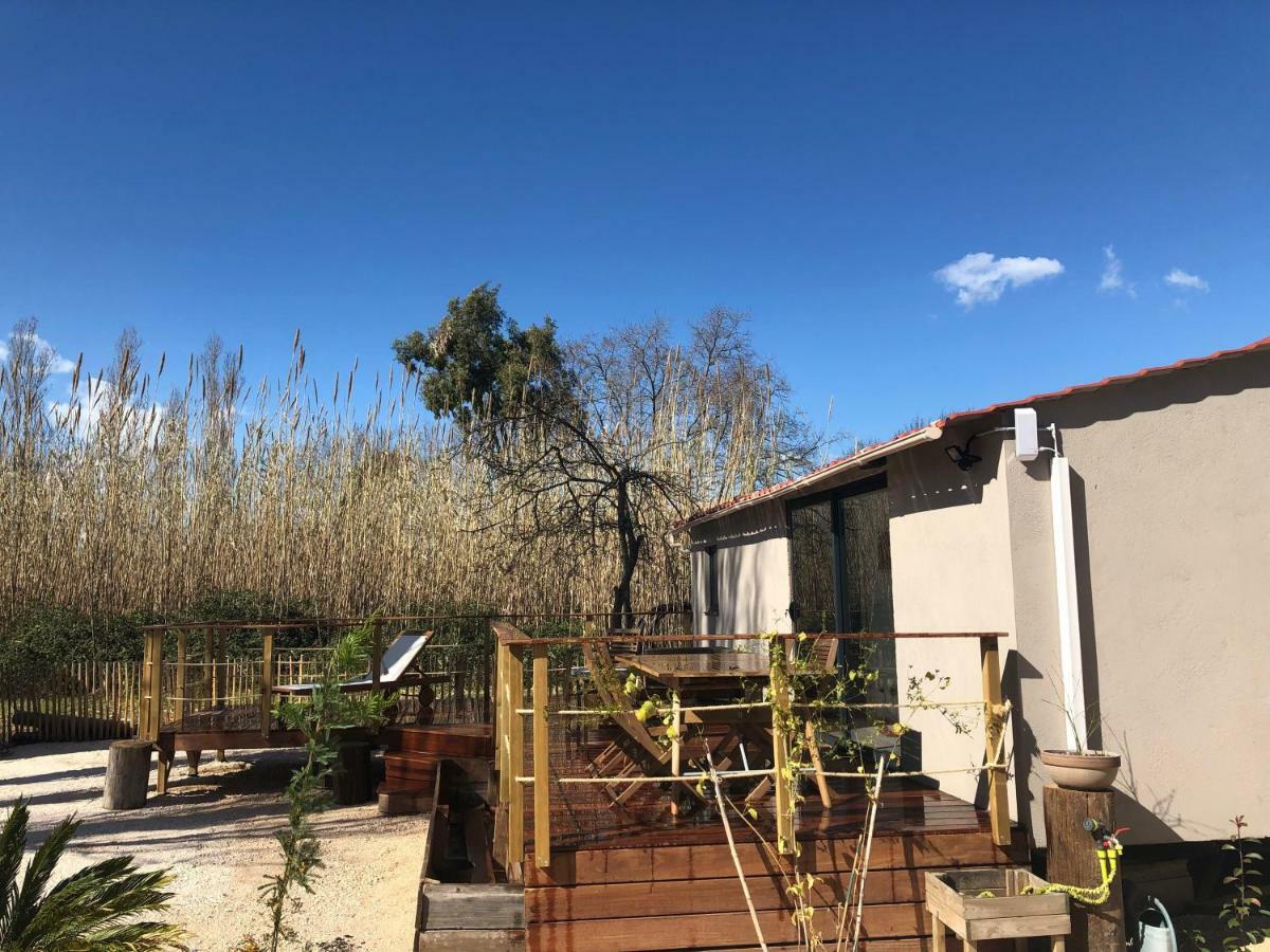 Tiny House Sur La Cote D'Azur Villa Hyères Exteriör bild